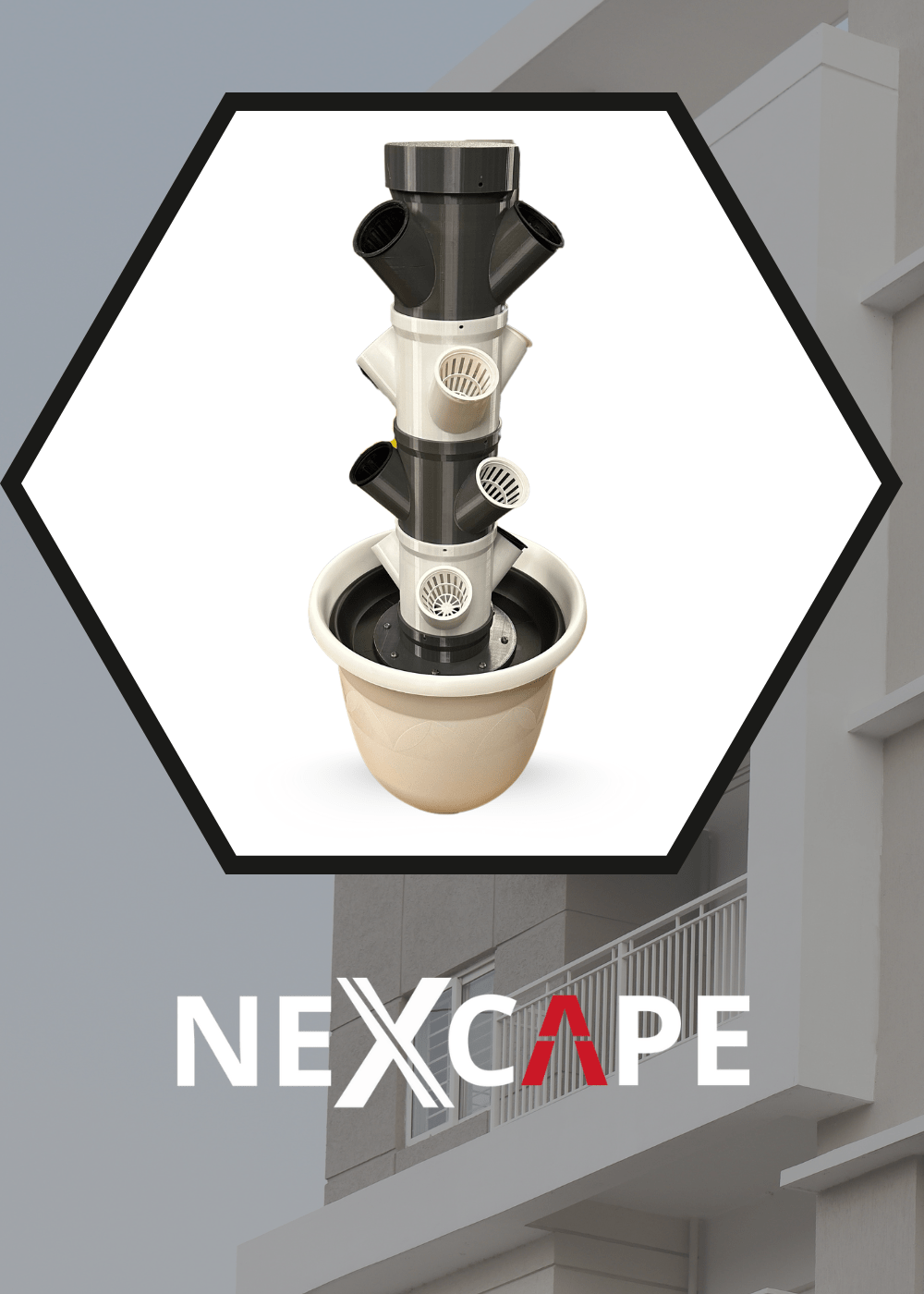 Frisches Gemüse Hydroponic anbauen: Dein kompletter Start-Guide [2025] - NEXCAPE